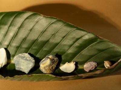 Close up of a smooth stone and a green leaf