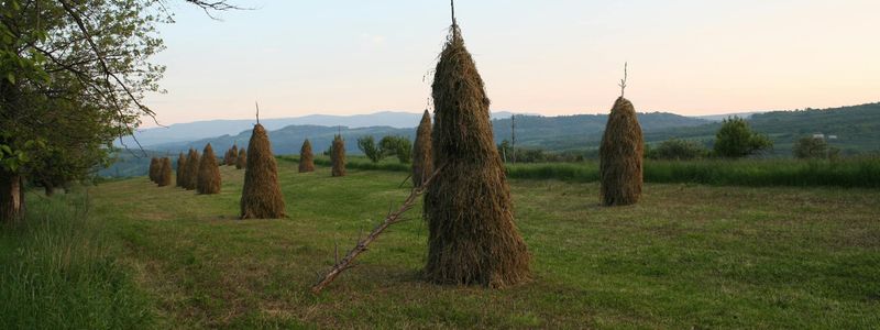 Wide shot of a serene landscape during sunset